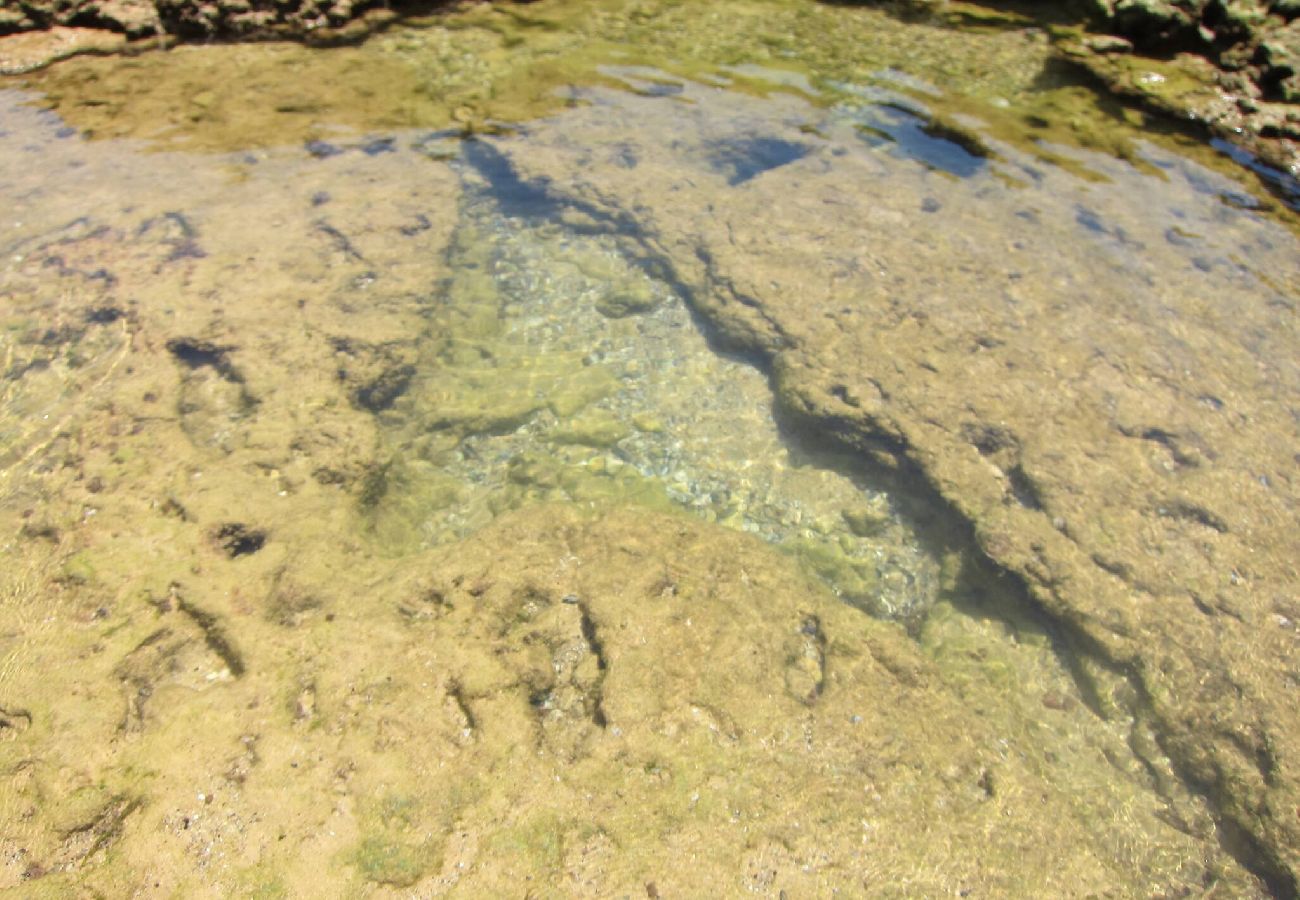 Ferienwohnung in Albufeira - Casa da Horta CH-6