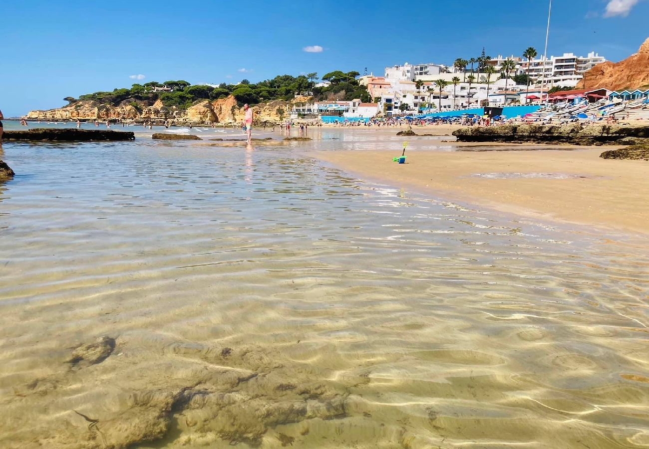 Ferienhaus in Albufeira - Vila Brady