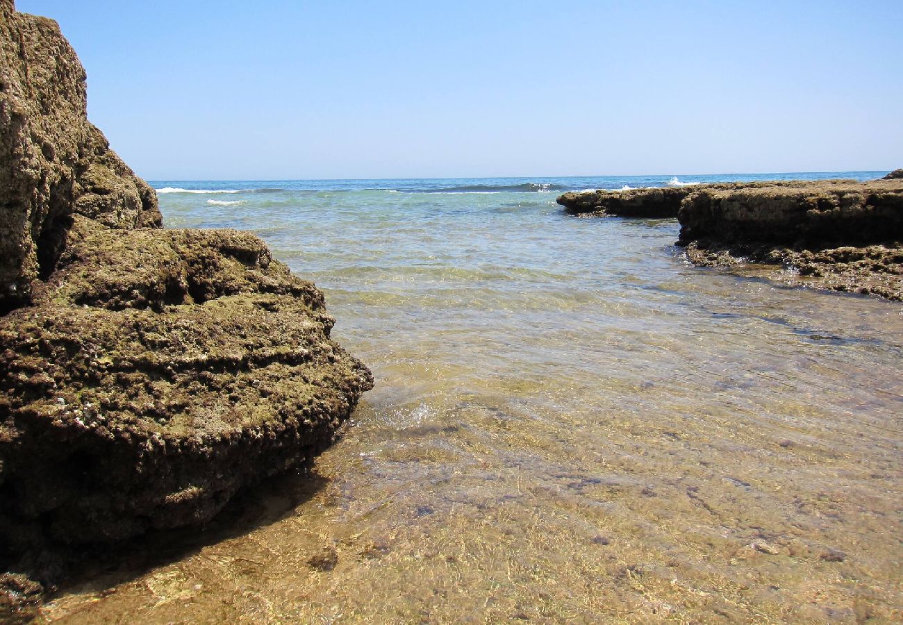 Apartamento en Albufeira - Casa da Horta CH-6