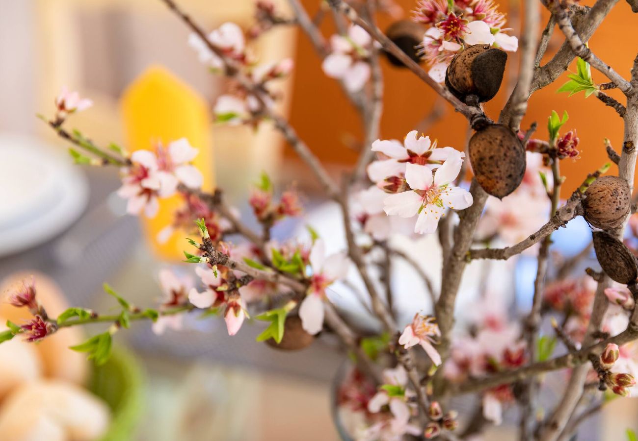Casa em Albufeira - Villa Ribeiro I
