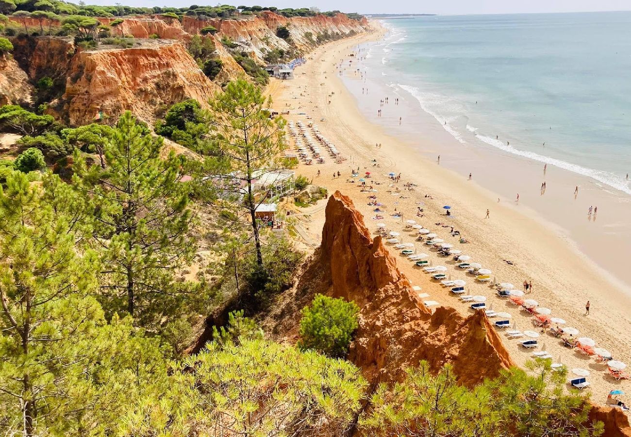 Villa em Albufeira - Vila Ribeiro II